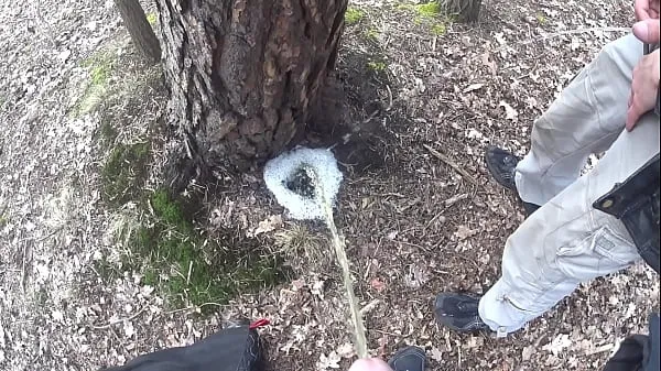 Hot boys pissing together a big foamy puddle at a tree new Clips