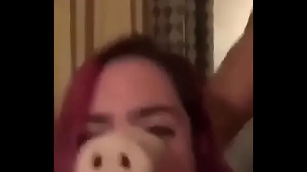 Quien es este cerdito clips nuevos