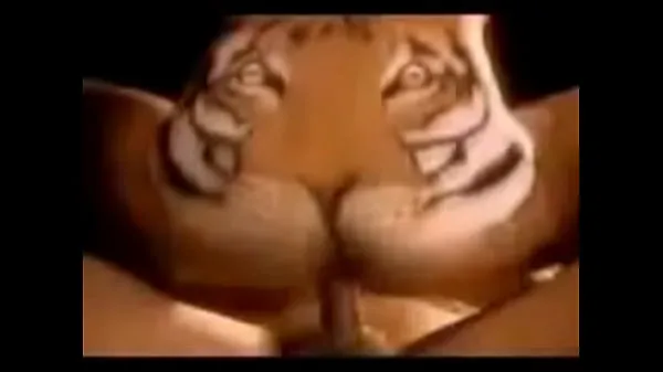 Tiger Eating Clip mới hấp dẫn